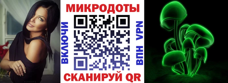 Купить закладки  Ржев  Псилоцибиновые грибы MAGIC MUSHROOMS 
